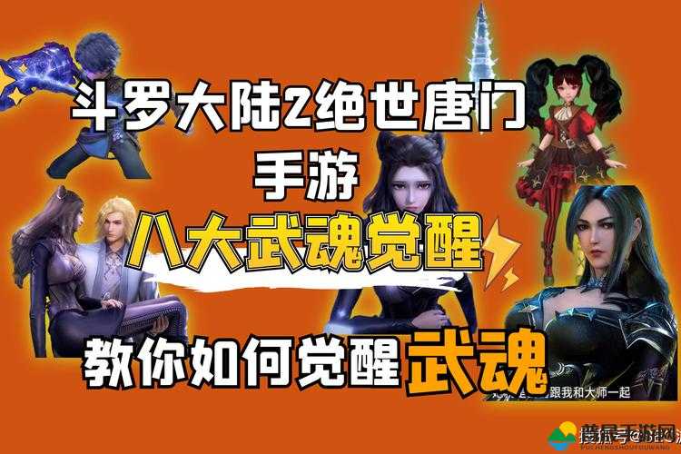 斗罗大陆2绝世唐门，详尽武魂觉醒选择策略与全攻略指南