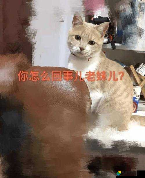 啊你他妈别舔了这行为真的很让人无语啊