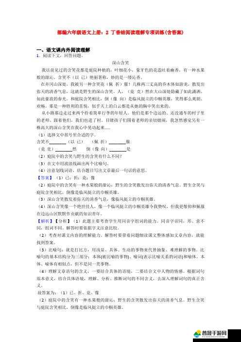 美丽的色丁香爱爱：关于爱情与勇气的故事