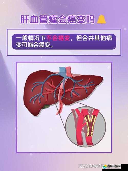 老公每天吃我小花园是否会伤肝的相关探讨