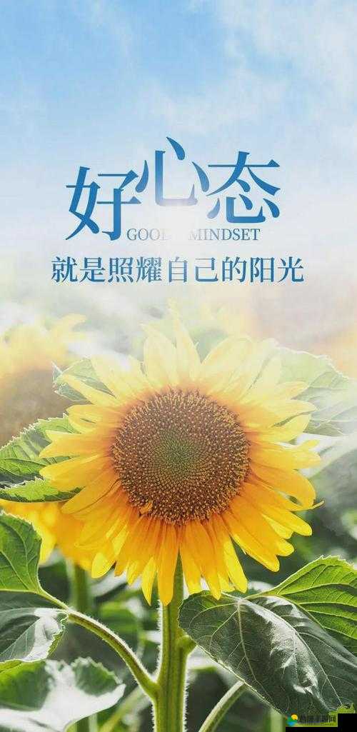 黑料正能量 index 首页：探寻别样精彩与正能量的独特视角