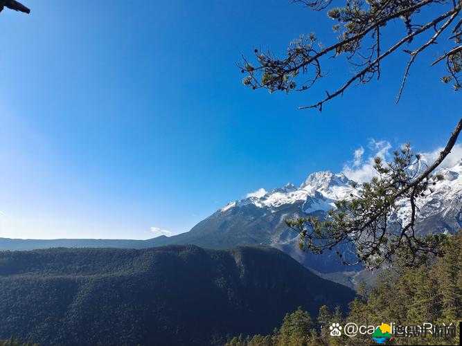 品色堂永远的：那独特而永恒的魅力