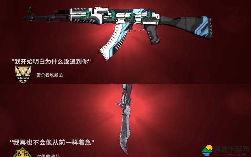 暴躁老姐的 CSGO 心得分享视频：教你如何成为 CSGO 高手