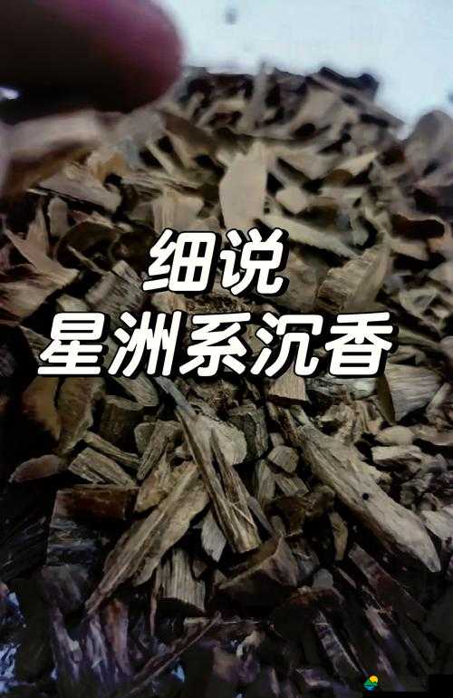 沉香产区一线与二线：品味香韵的不同境界