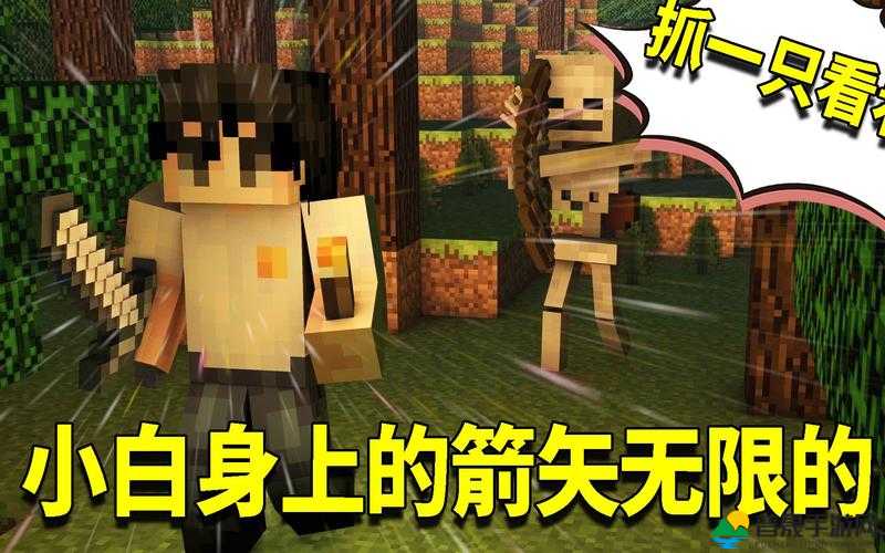 探索我的世界无限法则，解锁无限创意与生存挑战的全新可能