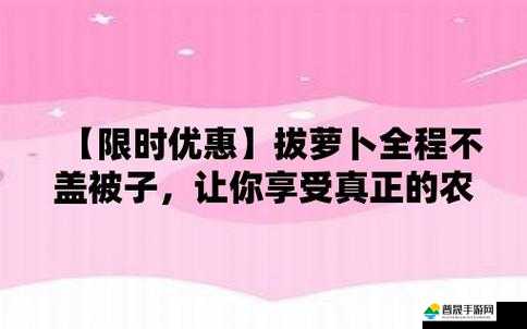 打扑牌不盖被子怎么办：如何解决打扑牌时不盖被子的问题