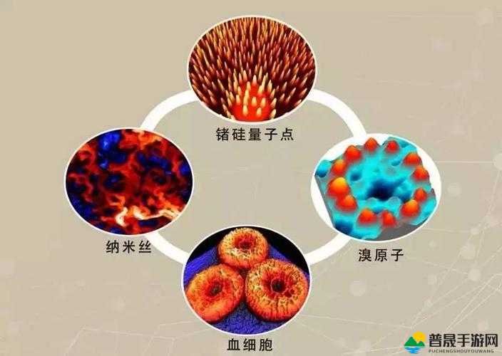 9988 色母做 CMDS 成分表：深度解析其化学构成与特性