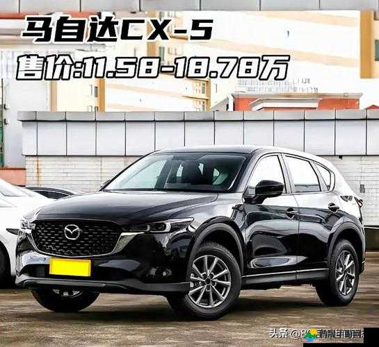 国产日韩精品 SUV 车型大赏：各品牌优势特点及市场表现一览