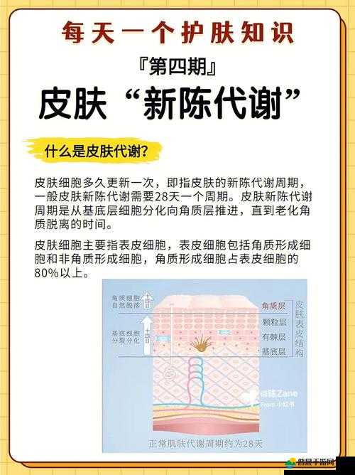 重生细胞游戏攻略，如何更换新皮肤及实现资源管理高效使用与最大化价值