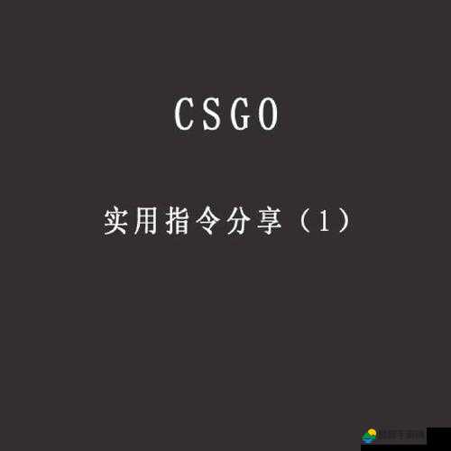 CSGO甩手舞指令全解析，5E平台SVIP及内测资格解锁社区服跳舞教程