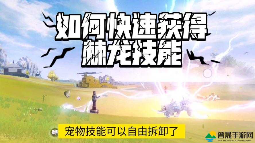 全面解析妄想山海游戏中宠物技能开启方法与技巧指南